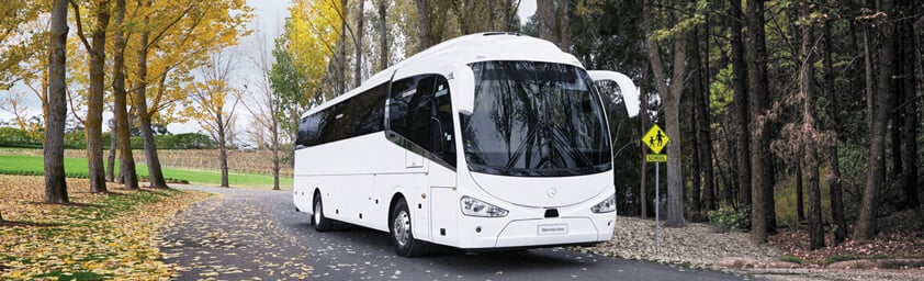 Mercedes Benz Bus parked near trees